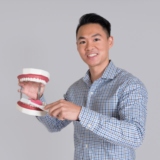 Person in a checkered shirt holding a large dental model with exposed teeth and gums, demonstrating oral care or dental education.